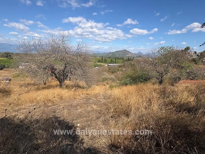 Feld Zu verkaufen in Dalyan Bz. Ortaca - Feld-Zonierung - 5.000 m²