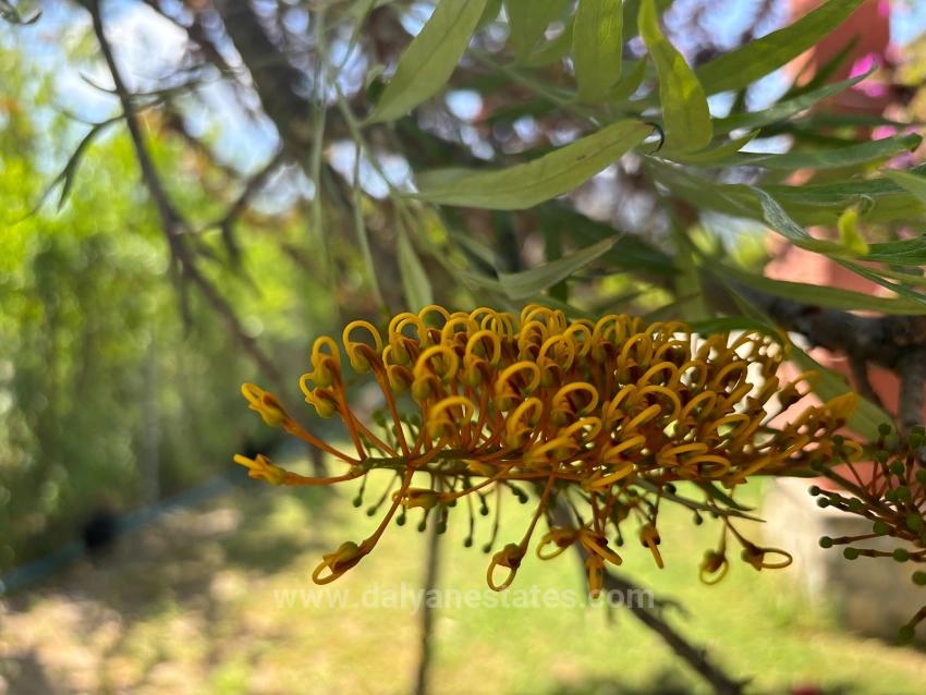 Luxuriöse Naturvilla Auf Einem 6.000 M² Großen Privatgrundstück