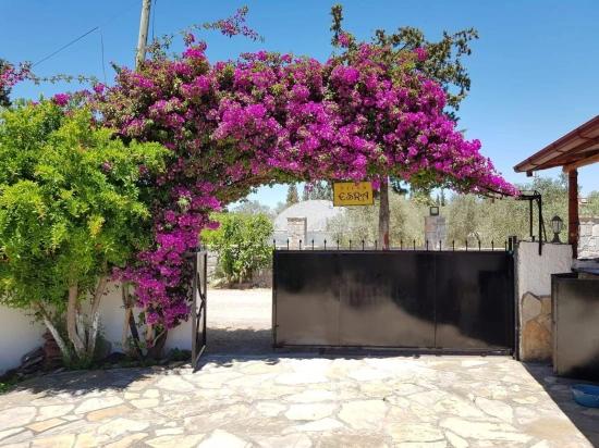 Freistehendes Bungalow Mit Investitionspotenzial In Der Gegend Von Dalyan