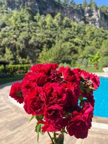Duplex-villa Zum Verkauf In Dalyan Okçular *preis Reduziert*