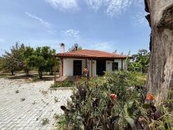 Freistehendes Haus Zur Miete In Dalyan Eskiköy.