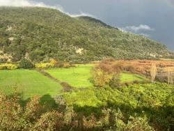 Gelände Zu Verkaufen in Çandır Bz. Köyceğiz - Feld-Zonierung - 35.000 m²