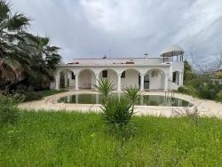 2+1-Zimmer Villa Zu Verkaufen in Dalyan Bz. Ortaca - 1.000 m²