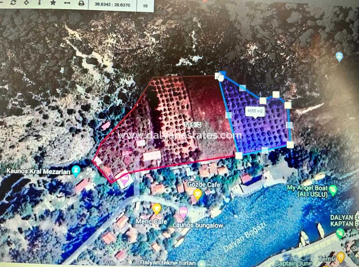 Dalyan Çandir Gemeinsame Felder Zum Verkauf