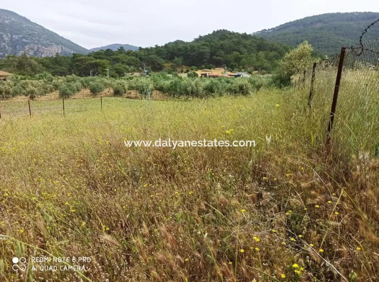 Grundstück Zum Verkauf In Dalyan Gökbel