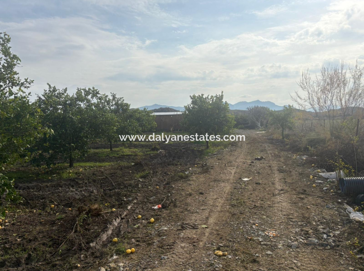 Field Land For Sale In Tepearası