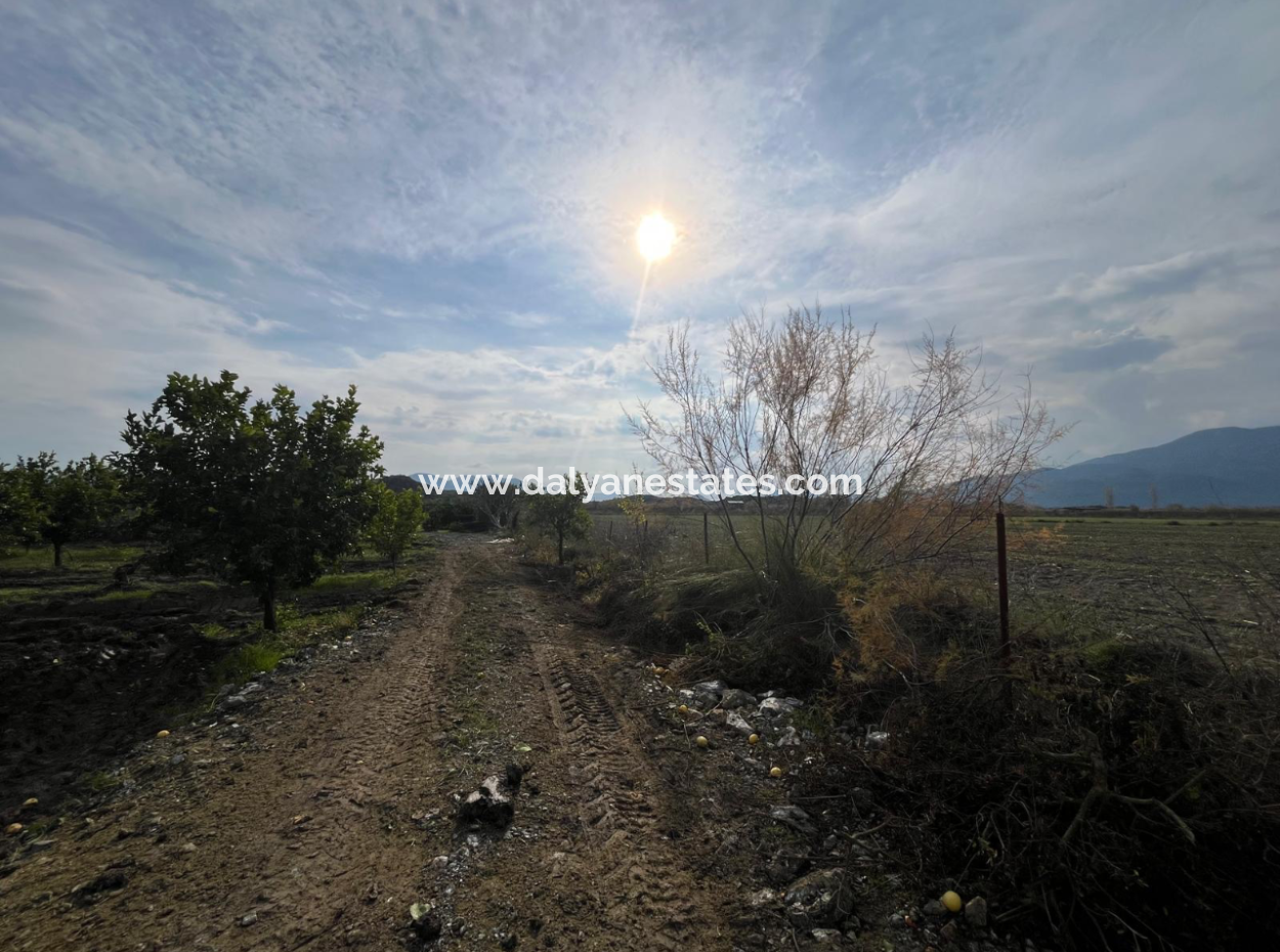 Field Land For Sale In Tepearası
