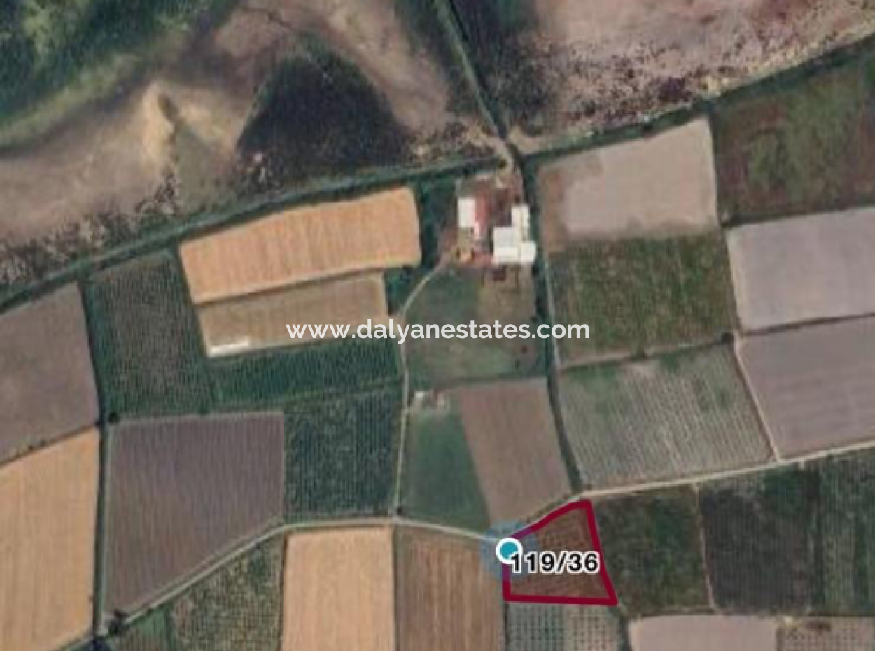 Field Land For Sale In Tepearası