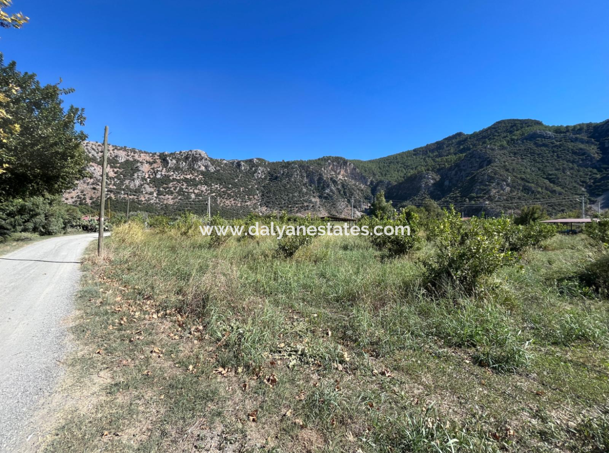 Lovely Field Plot In Arik Bası