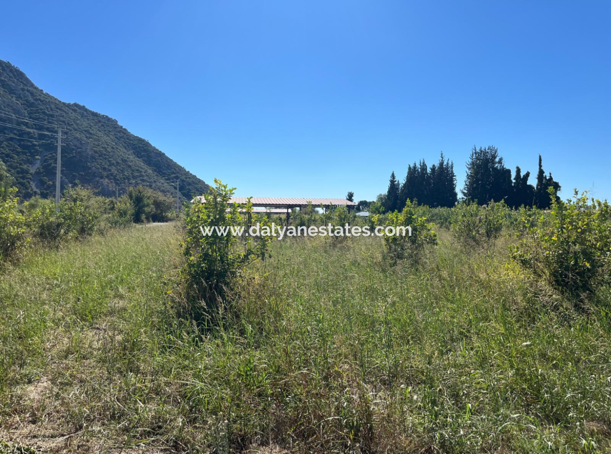 Lovely Field Plot In Arik Bası
