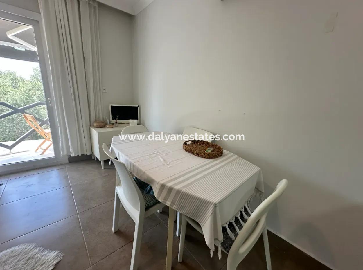 Modern First Floor Apartment