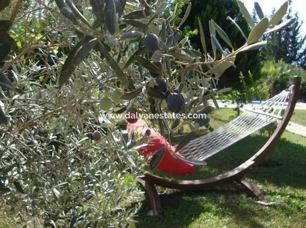 Charming Bungalow With Investment Potential