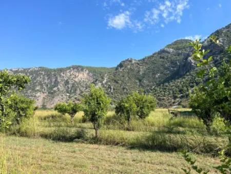 Feld Zum Verkauf In Dalyan