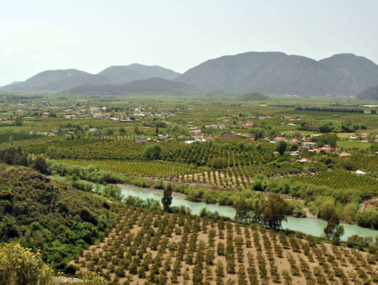 Ortaca