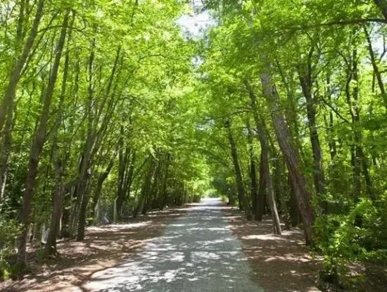 Marmarlı
