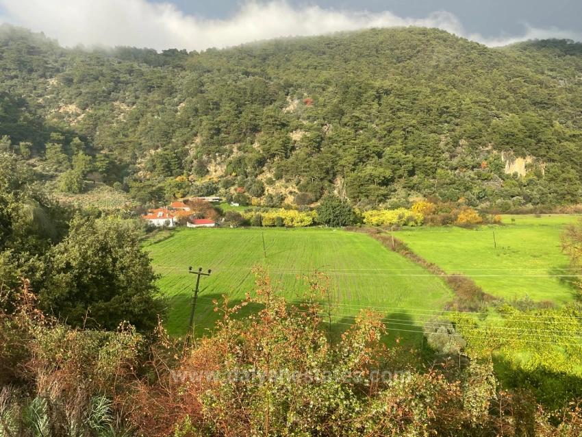 Farmland For Sale In Çandır Village, Opposite Dalyan.