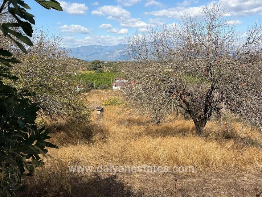 Field For sale in Dalyan Nbh. Ortaca - Field Zoned - 5.000 m²
