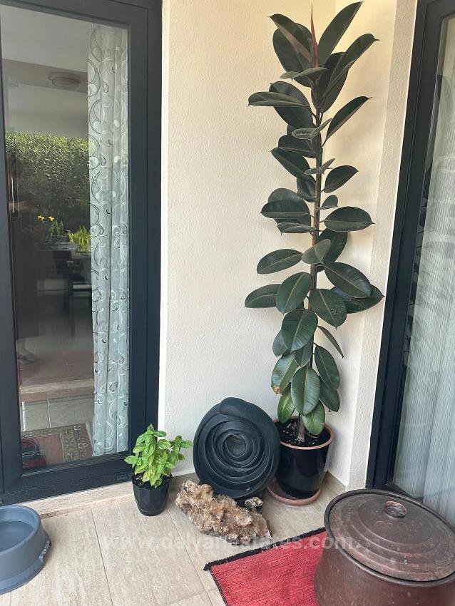 A Hidden Gem In Dalyan's Maraş Neighborhood