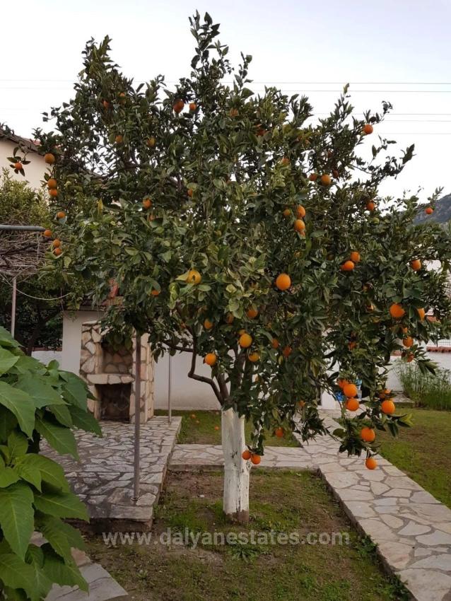 A Charming, Detached Bungalow With Investment Potential In The Dalyan Arıkbaşı Area.