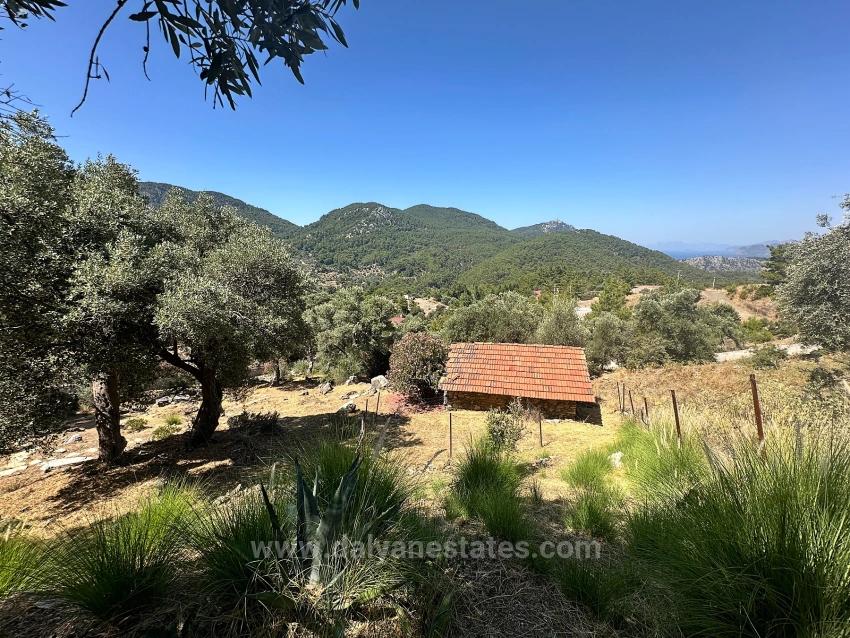 Luxury 7-Bedroom Mansion With Unparalleled Sea Views In Gökbel