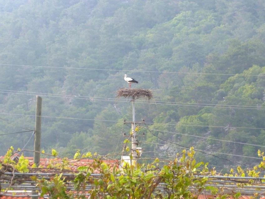 Villa Delight – Detached Villa In Dalyan, Maraş