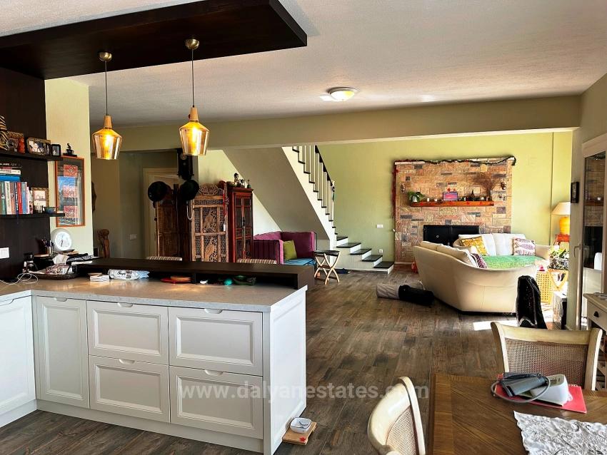 Stylish Villa On 5000M2 Suitable For Citizenship Purchase