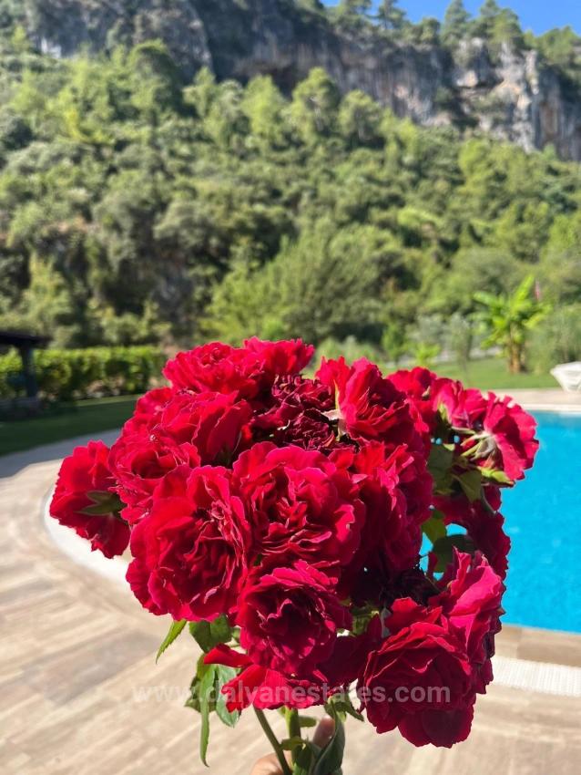 Duplex Villa For Sale In Dalyan Okçular