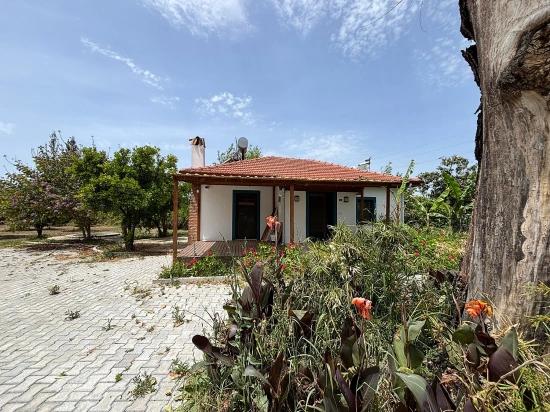 Detached House For Rent In Dalyan Eskiköy.