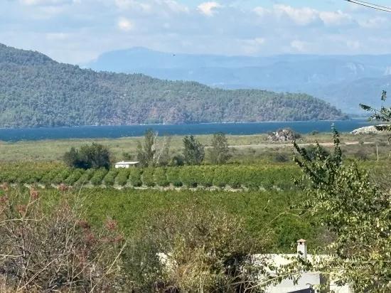 Room to Grow — 5,000 m² of Land In Karadağ