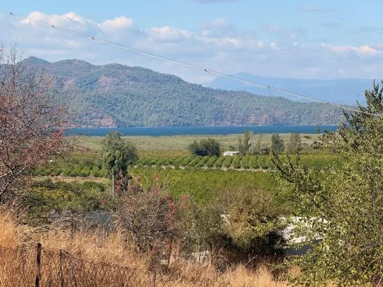 Room to Grow — 5,000 m² of Land In Karadağ