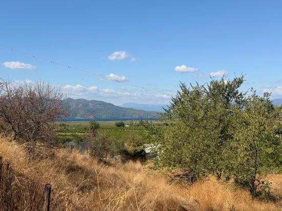 Room to Grow — 5,000 m² of Land In Karadağ
