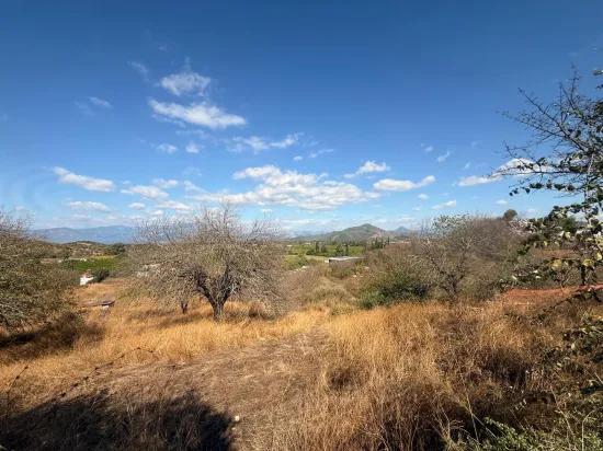 Room to Grow — 5,000 m² of Land In Karadağ