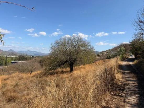 Room to Grow — 5,000 m² of Land In Karadağ