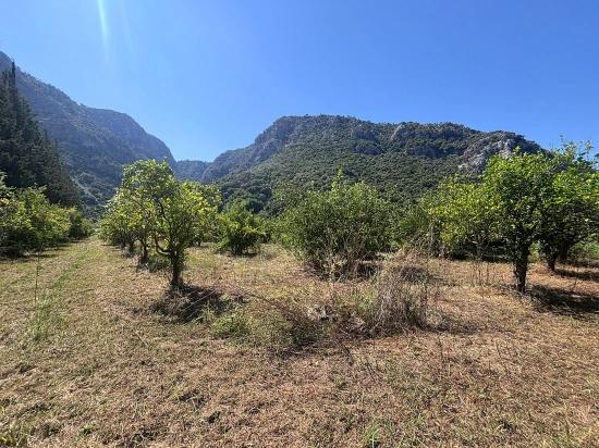 Triplex Villa In Okçular Marmarlı, Dalyan, Surrounded By Nature