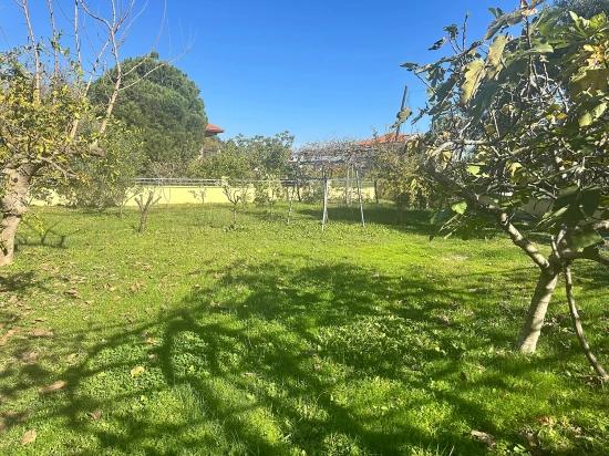 House For Sale In Dalyan Gülpınar On A 1000 M2 Plot Of Land.