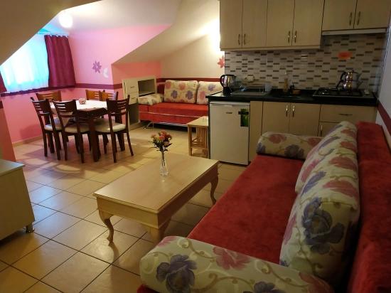 Popular Apart Hotel For Sale In Dalyan At A Fantastic Price
