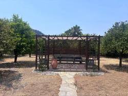 Traditional Turkish House With Large Plot