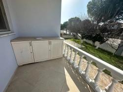 Bluebells Apart — A Peaceful Life Illuminated By The Sun