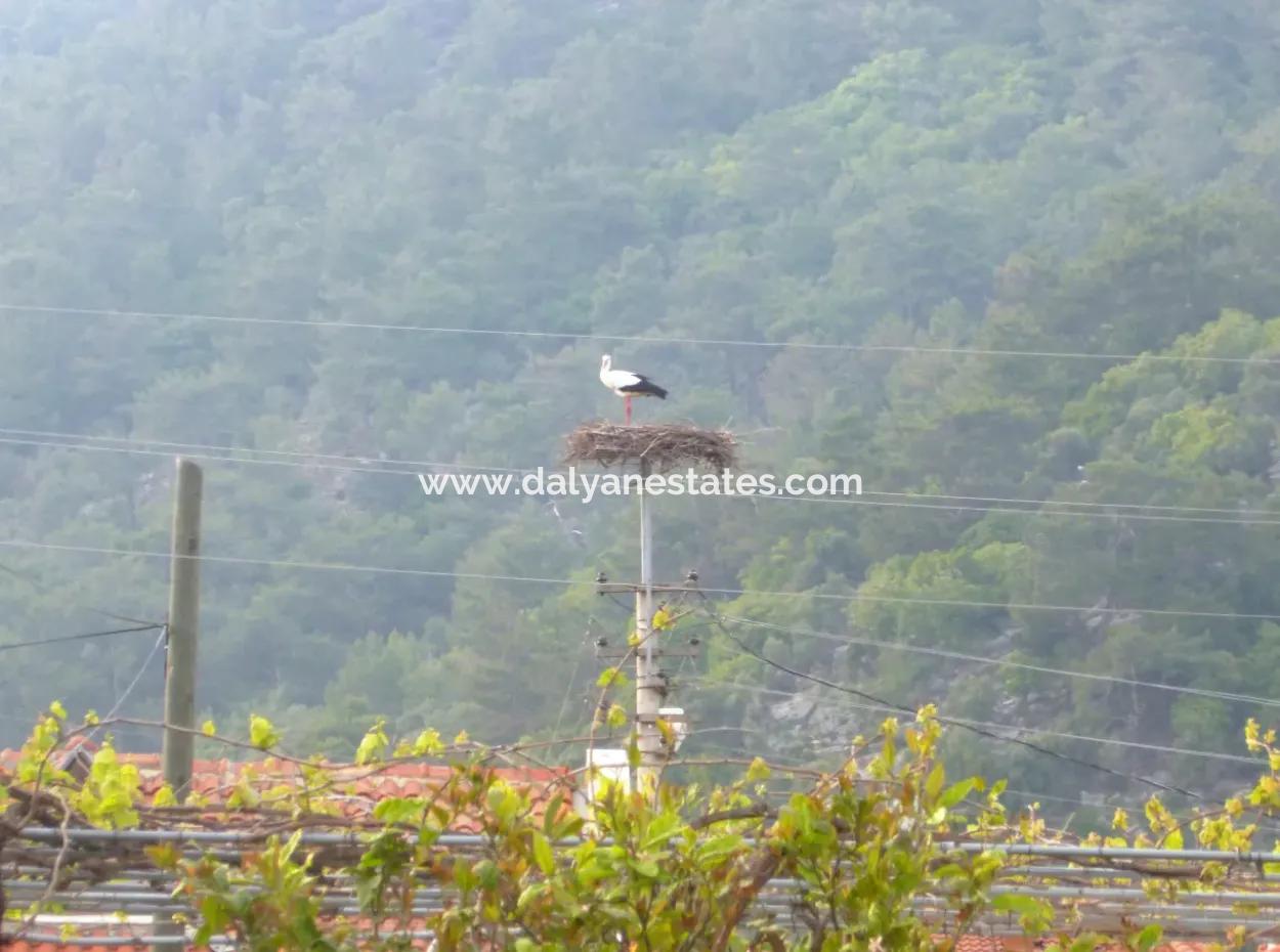 A Rare Gem In The Heart Of Dalyan