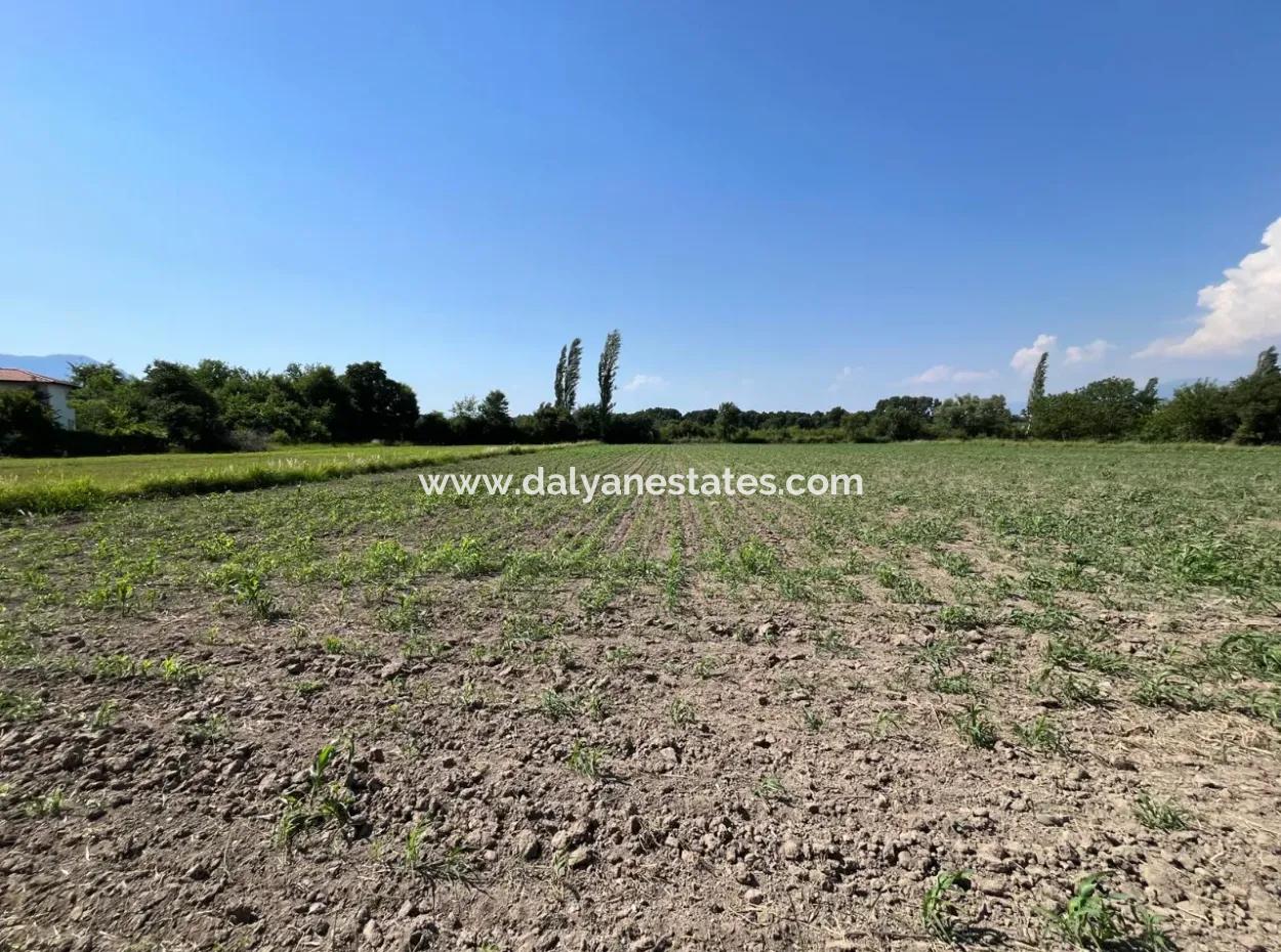 Dalyan Land Suitable For Investment