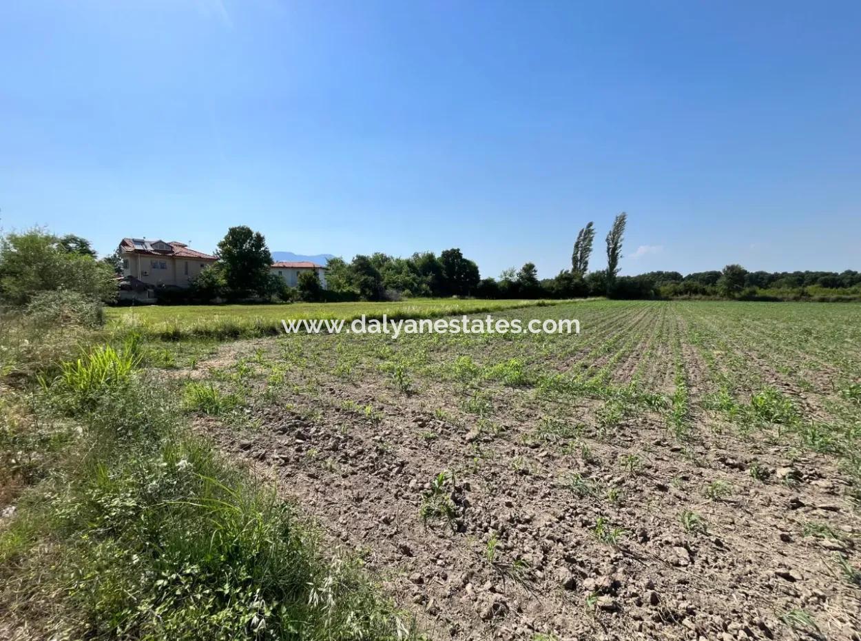 Dalyan Land Suitable For Investment