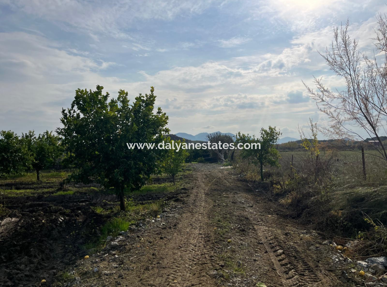 Field Land For Sale In Tepearası