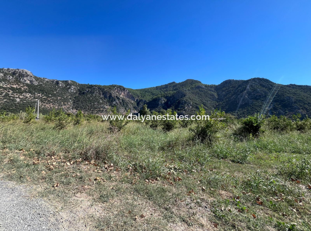 Lovely Field Plot In Arik Bası