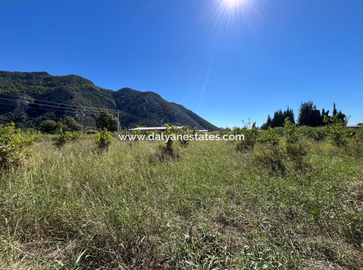 Lovely Field Plot In Arik Bası