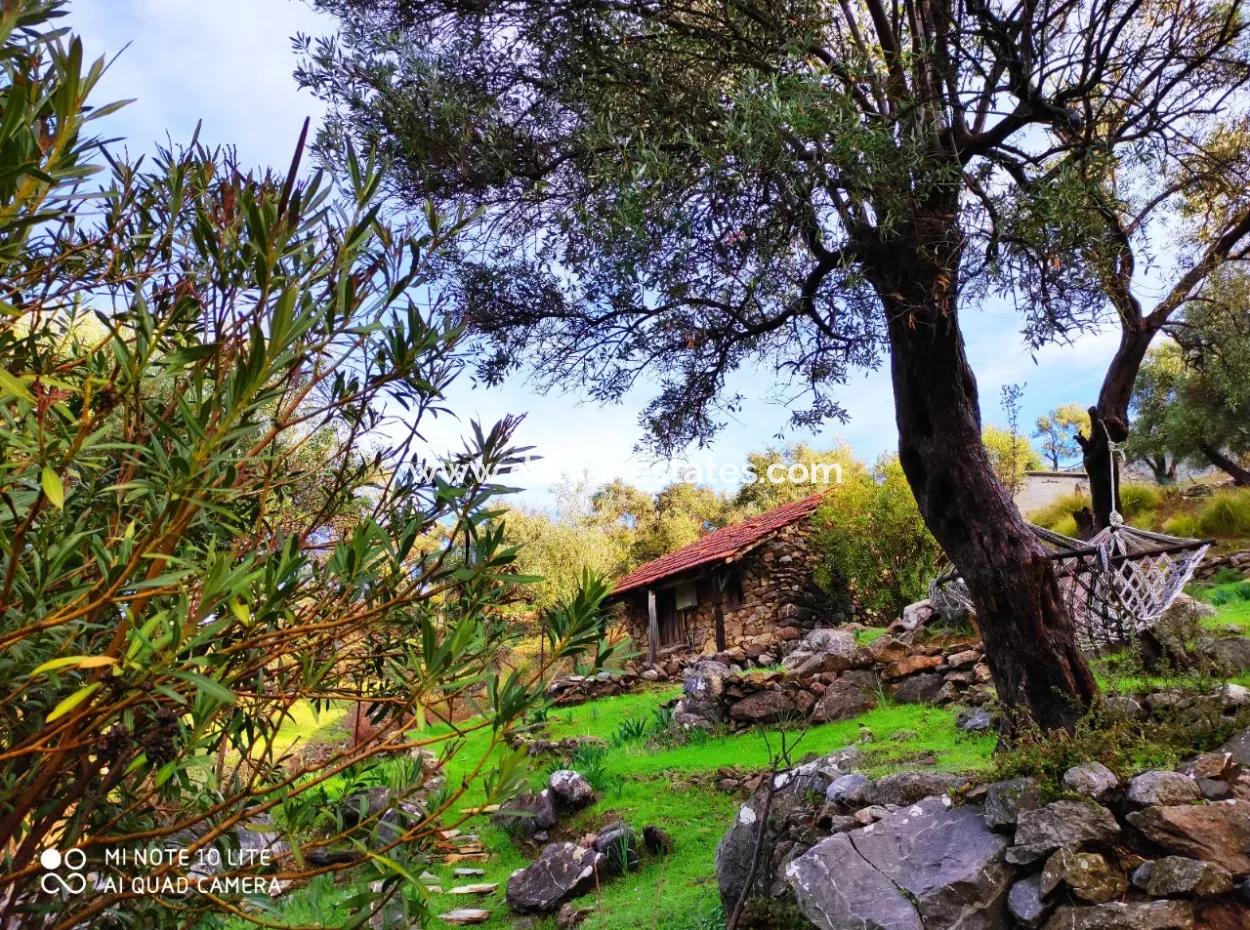 Palace In The Mountains