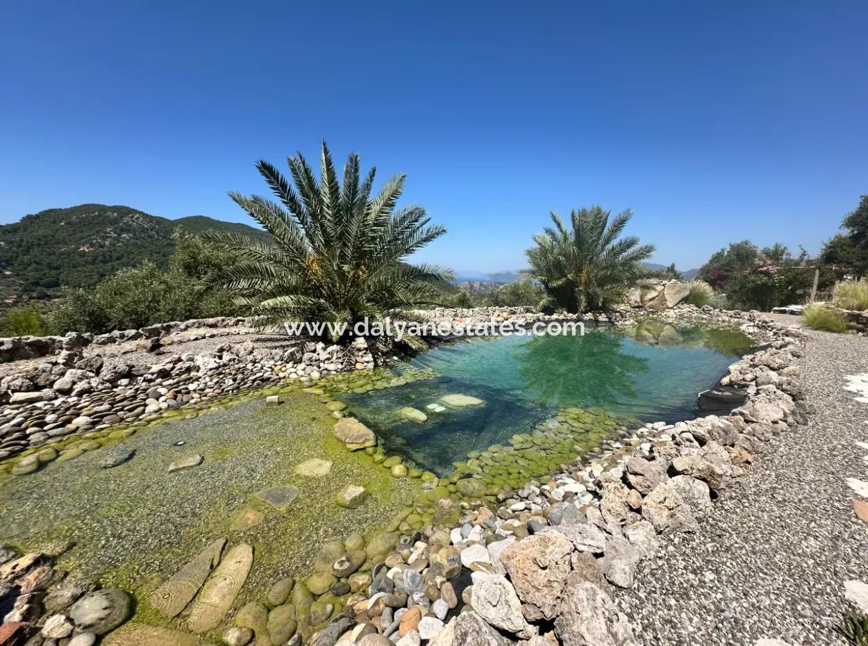 Palace In The Mountains