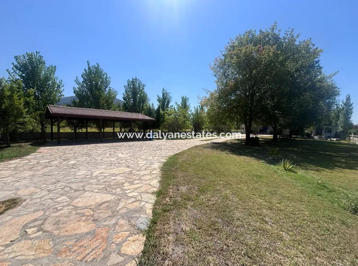 Unique Villa On Large Land