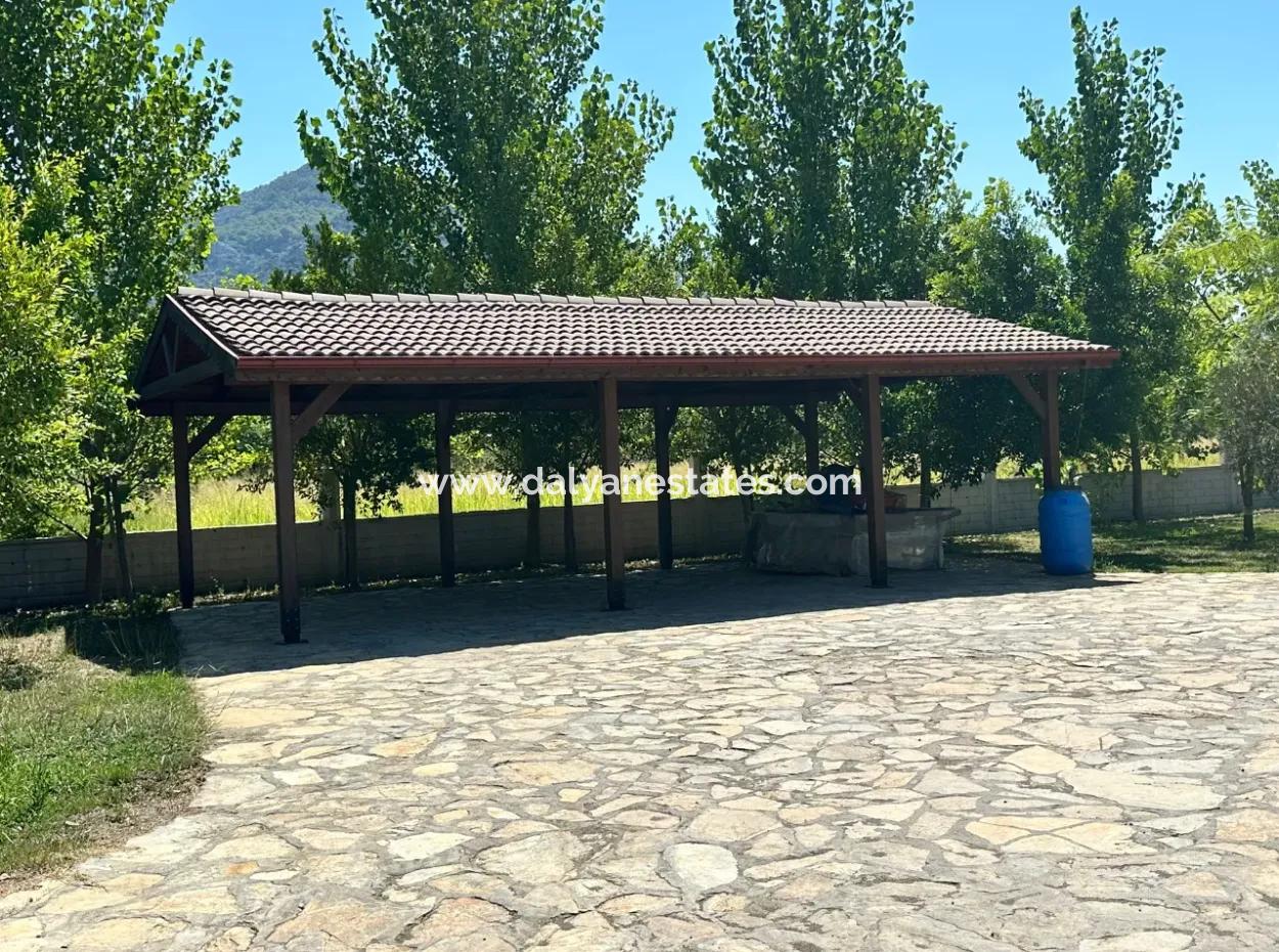 Unique Villa On Large Land