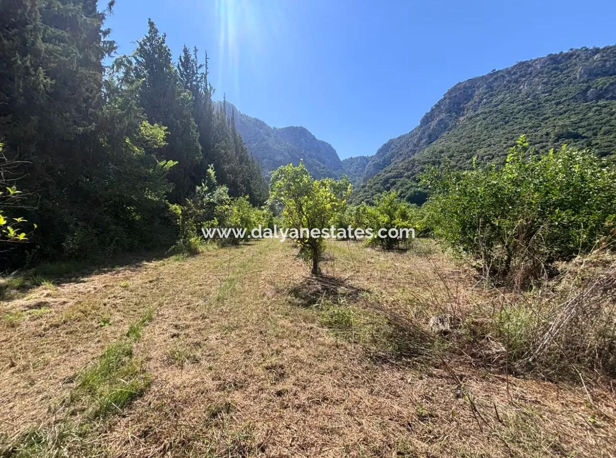 Triplex Villa Surrounded By Nature