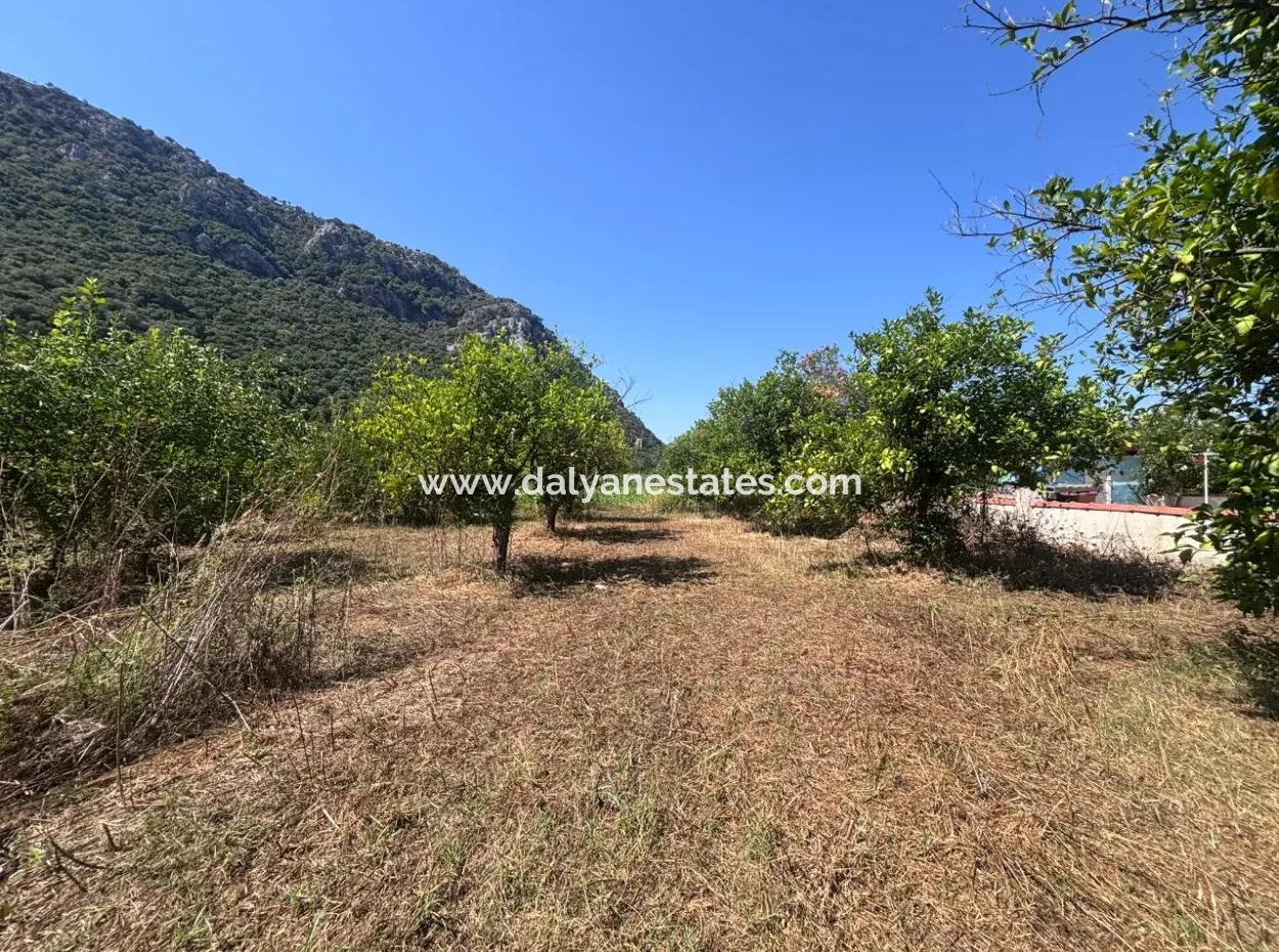 Triplex Villa Surrounded By Nature